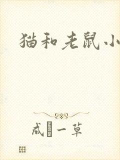 猫和老鼠小说