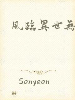 风临异世无弹窗