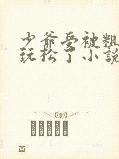 少爷受被粗汉H玩松了小说