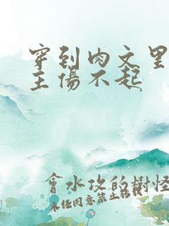 穿到肉文里的女主伤不起