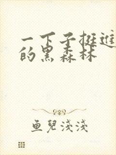 一下子挺进浓密的黑森林