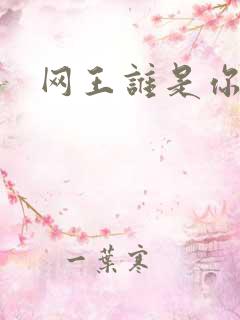 网王谁是你老婆