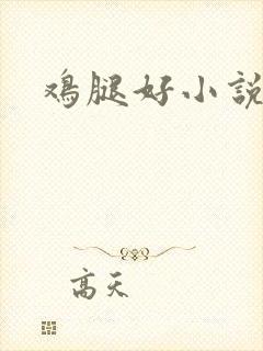 鸡腿好小说网
