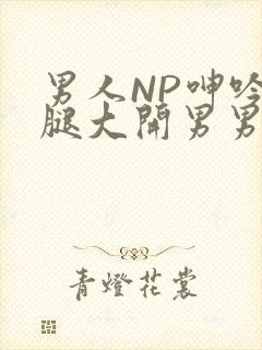 男人NP呻吟双腿大开男男小说