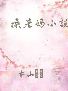 操老妈小说