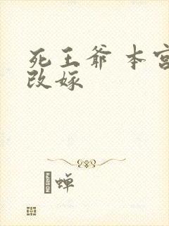 死王爷 本宫已改嫁
