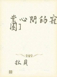 掌心间的宠[校园]