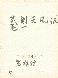 武则天风流艳情毛一