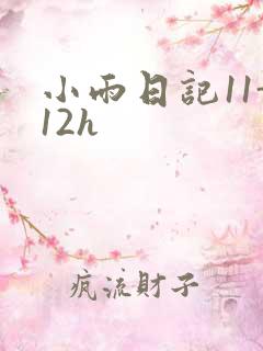 小雨日记11-12h