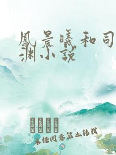 凤晨曦和司鸿颜渊小说