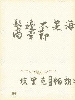 鬓边不是海棠红肉章节