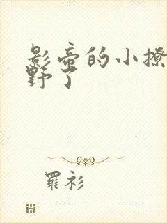 影帝的小撩精太野了