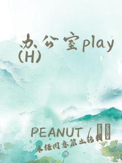 办公室play(H)