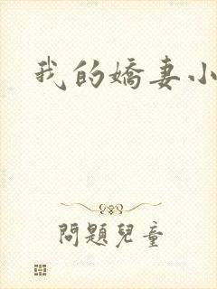 我的娇妻小说