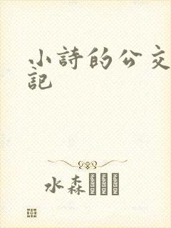 小诗的公交车日记