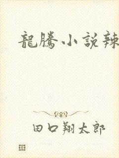 龙腾小说辣文网