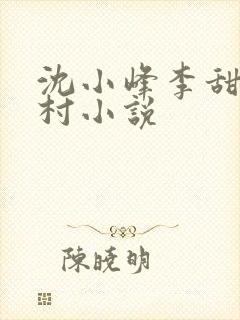 沈小峰李甜的乡村小说