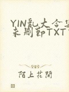 YIN乱大合集未删节TXT下载