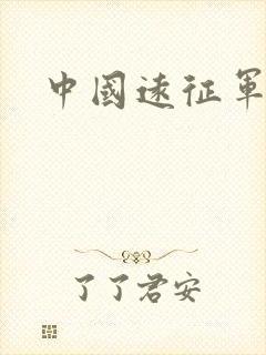 中国远征军下载