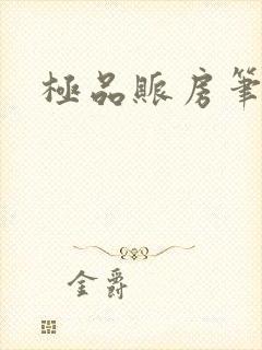 极品账房笔趣阁