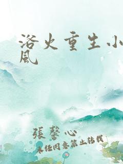 浴火重生小说陈风