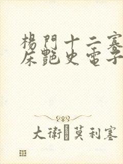 杨门十二寡妇肉床艳史电子书