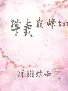 踏上巅峰txt下载