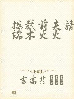 总裁前夫请自重端木火火