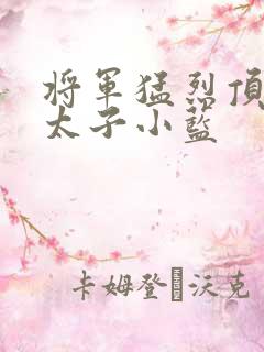 将军猛烈顶弄h太子小蓝