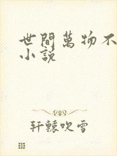 世间万物不及你小说