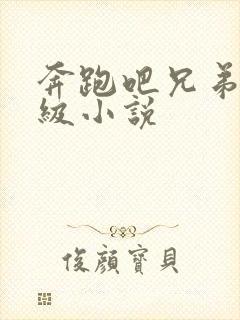 奔跑吧兄弟限制级小说