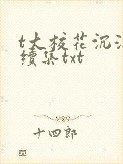 t大校花沉浮录续集txt