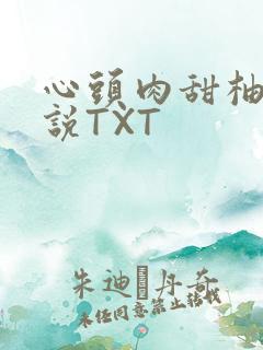 心头肉甜柚子小说TXT