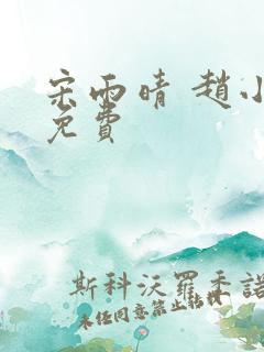 宋雨晴 赵小刚免费