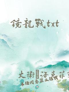镜龙战txt