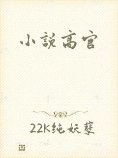 小说高官