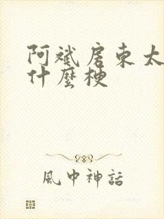 阿斌房东太太是什么梗