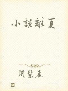 小说离夏