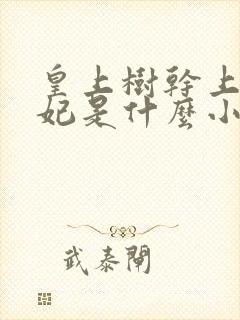 皇上树干上太子妃是什么小说