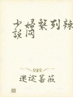 少妇系列辣文小说网