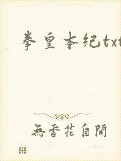 拳皇本纪txt