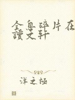 全息碎片在线阅读文轩