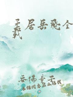 柔居岳飞全传下载