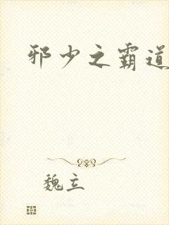 邪少之霸道娇妻