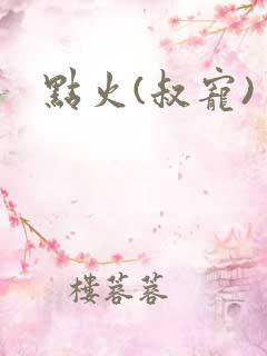 点火(叔宠)