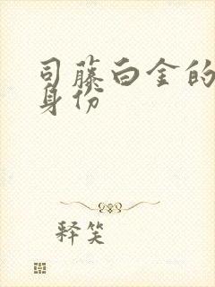 司藤白金的真实身份