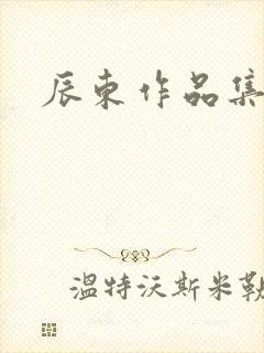 辰东作品集