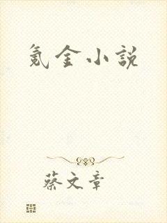 氪金小说