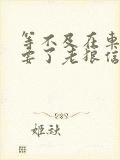 等不及在车里就要了老狼信息