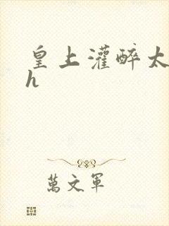 皇上灌醉太子妃h